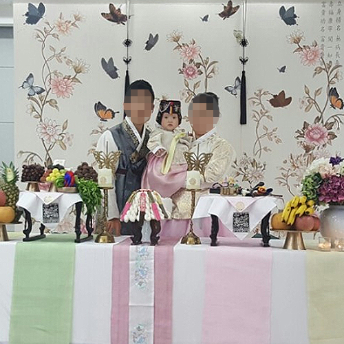 대원본가-김효진(전통화접도)